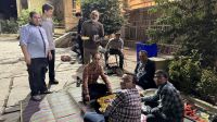 gallery_latest_0